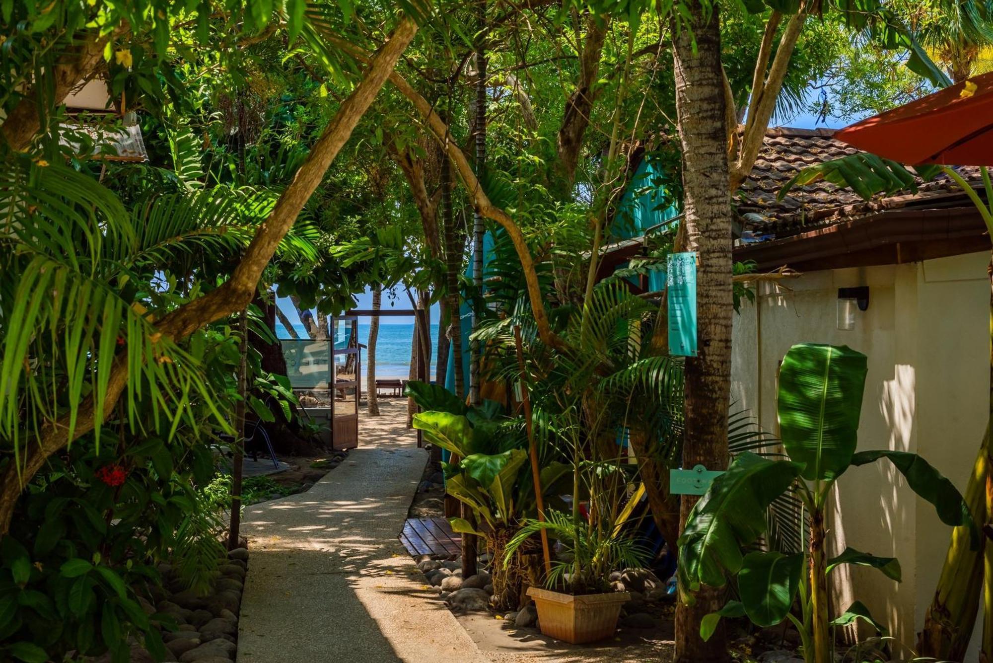 The Coast Beachfront Hotel Tamarindo Kültér fotó